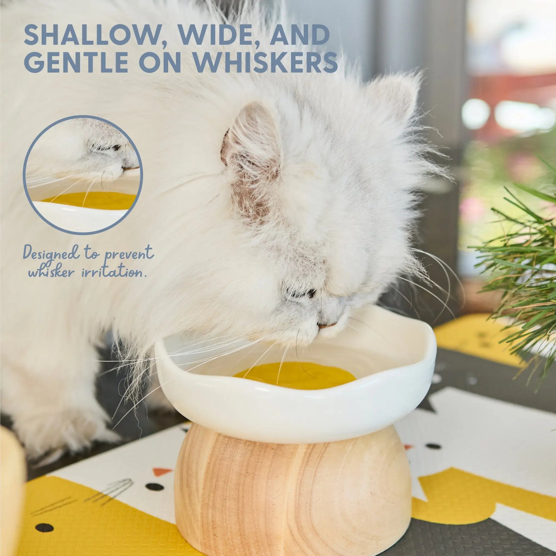 Elevated Egg-Shaped Cat Feeding Bowl