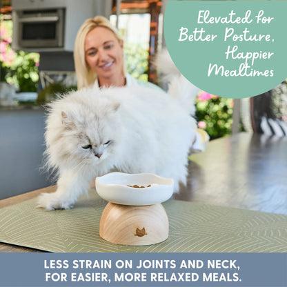 Elevated Egg-Shaped Cat Feeding Bowl
