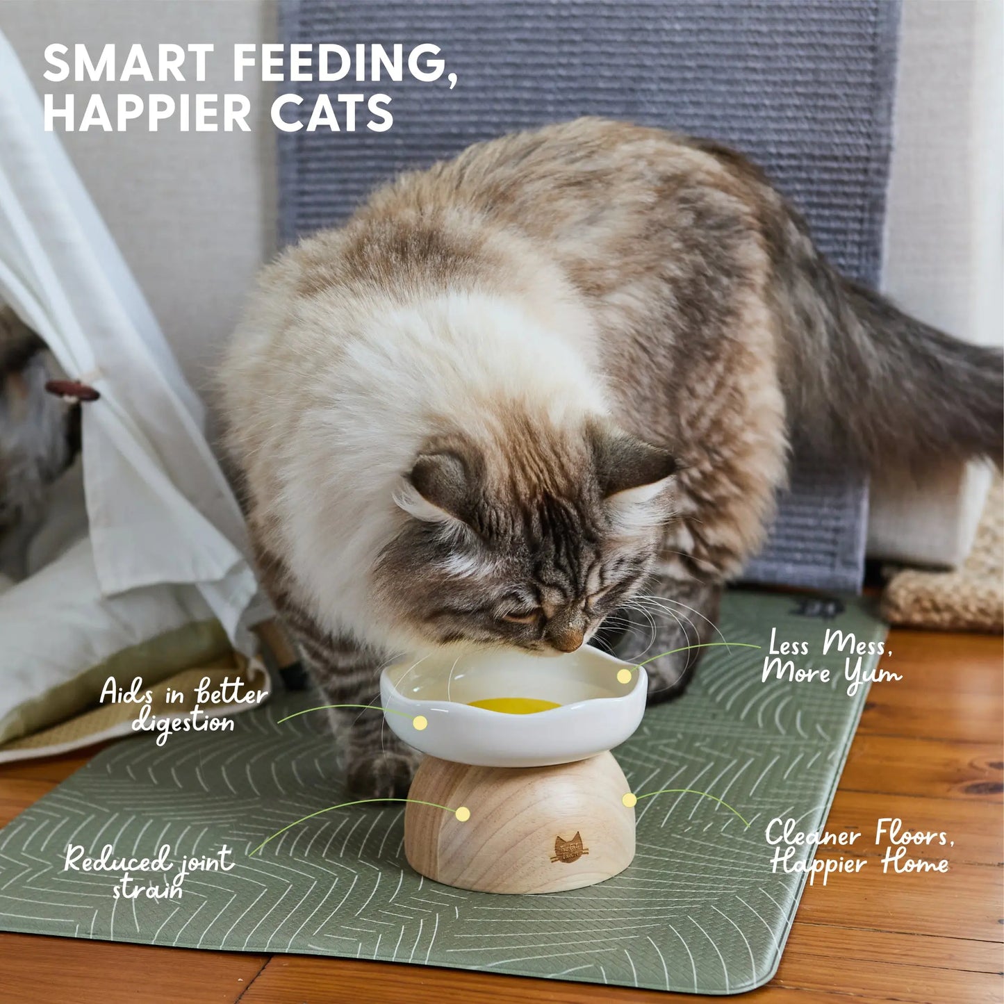 Elevated Egg-Shaped Cat Feeding Bowl