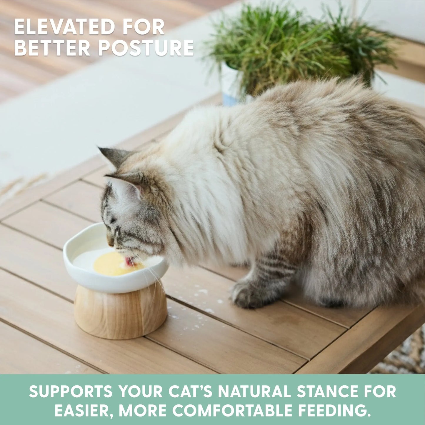 Elevated Egg-Shaped Cat Feeding Bowl