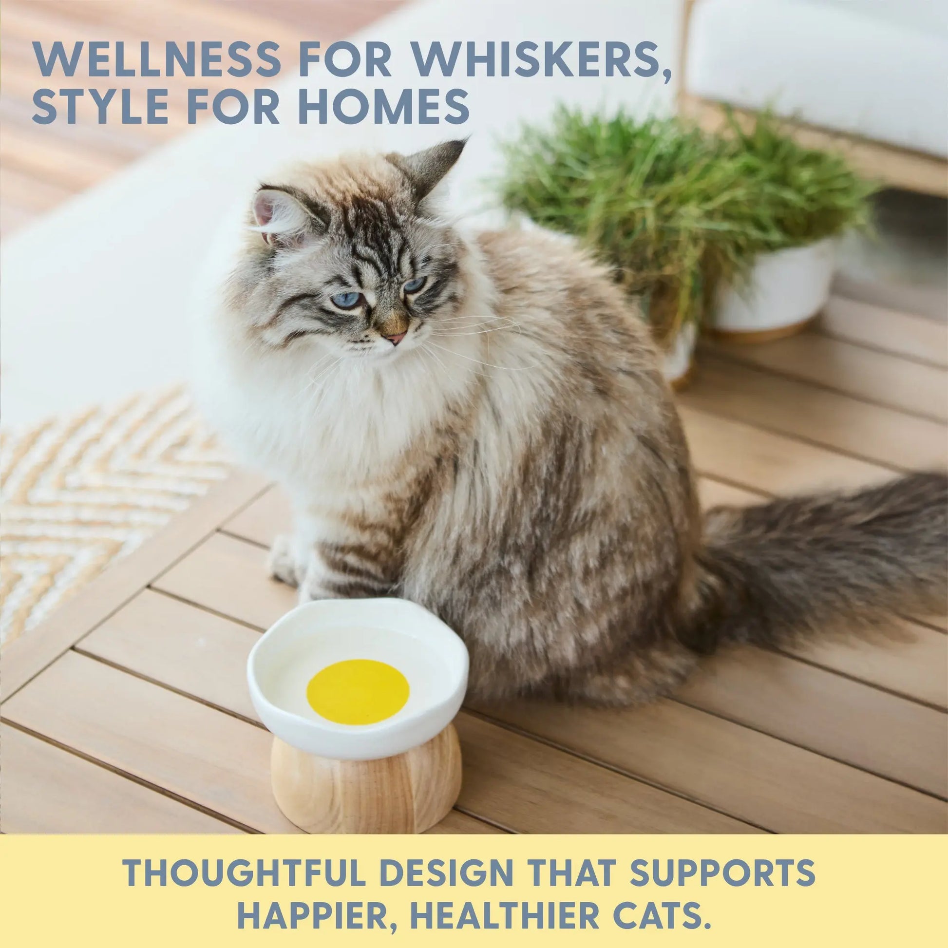 Elevated Egg-Shaped Cat Feeding Bowl
